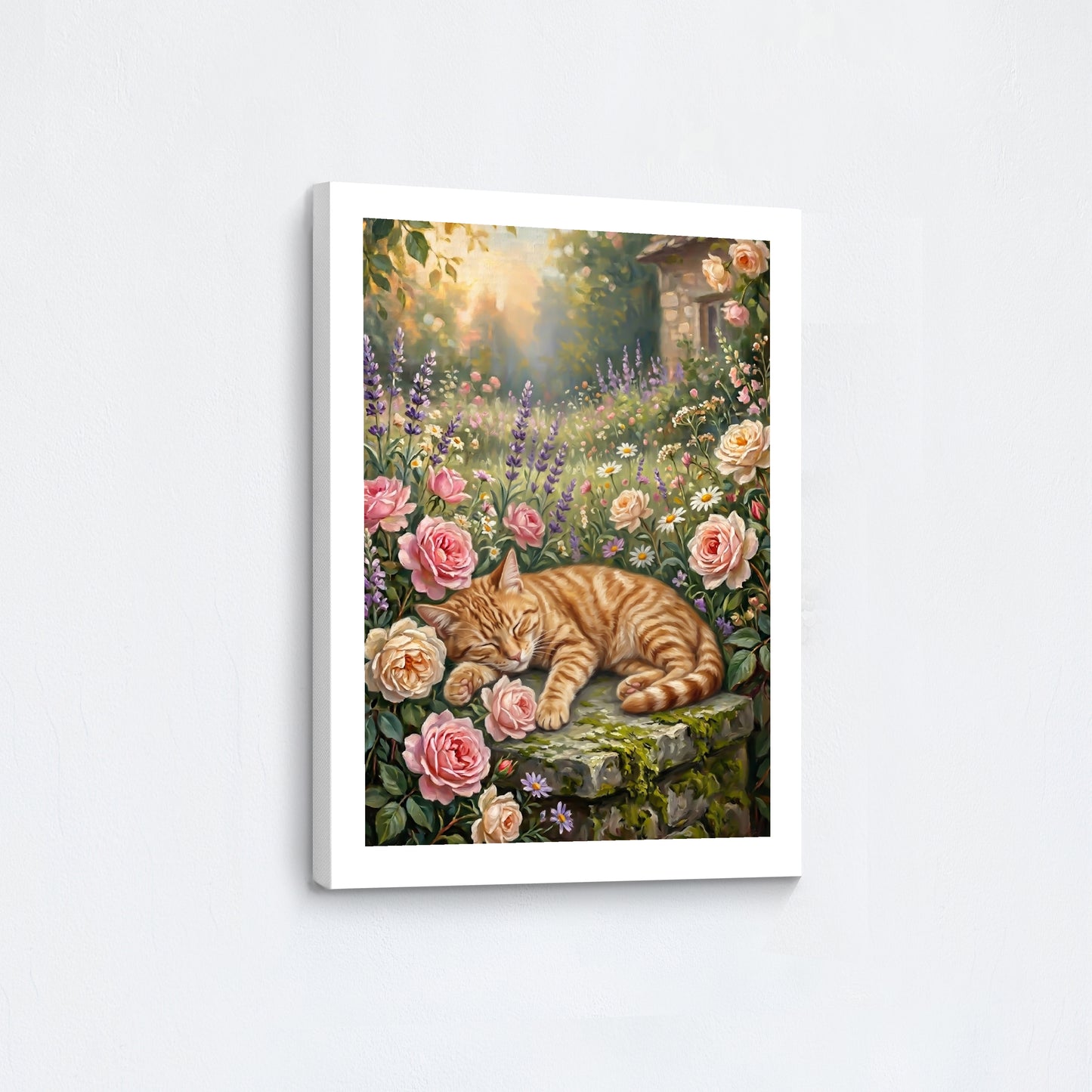 Catnap in Bloom