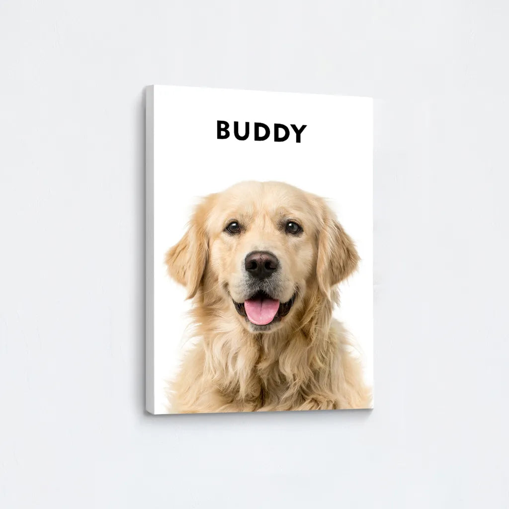 Custom Realistic Pet Portrait